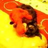 2 meses de edad jugando con su peluche favorito hasta hoy día¡.